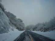 Ԃ񂳂̋dRQ̖X̓eʐ^2