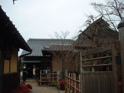 Ԃ񂳂̍{ɓYƂ̓eʐ^5