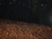 Ԃ񂳂̍ǎR_Đ΂̓eʐ^3