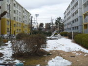 gV[̂Ђ΂肪u5-1ړIL̓eʐ^1