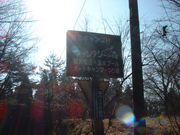 Ԃ񂳂̈ht@^W[̐X̓eʐ^2