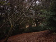 Ԃ񂳂̋vĐXт̂̓eʐ^2