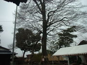 Ԃ񂳂̓Vƌc_Ёiΐ_Ёj̓eʐ^3