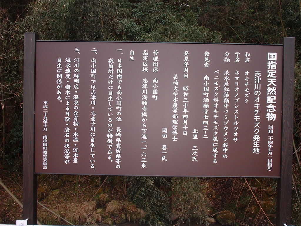 南小国町 阿蘇郡 の観光施設 名所巡りランキングtop8 じゃらんnet