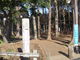 トシローさんの宇都宮記念公園の投稿写真1