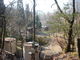 花ちゃんさんの阿蘇ファンタジーの森の投稿写真3