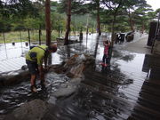 `RptF̂т̍򑫂̓̓eʐ^1