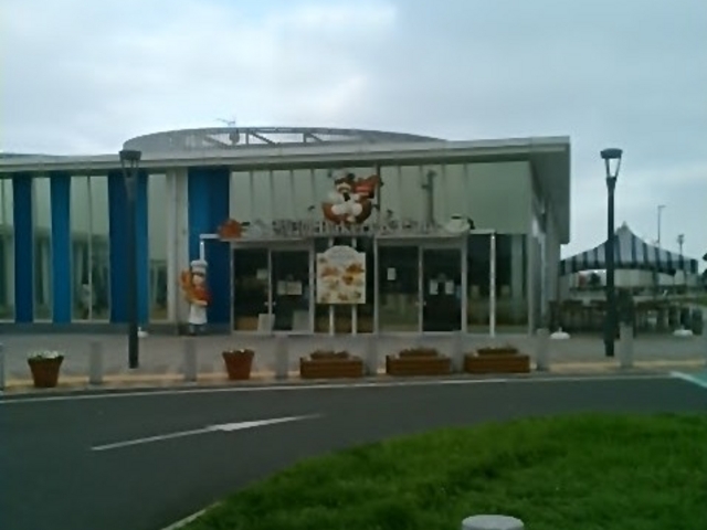 wx͘pÃT[rXGAijBx_x͘pÃT[rXGAij