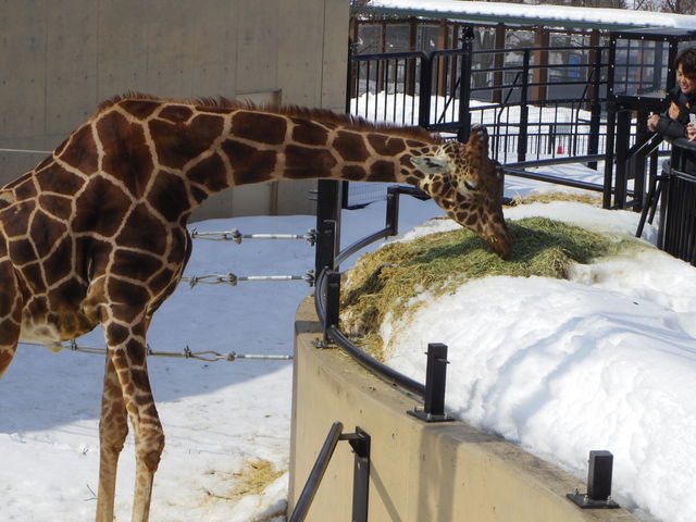 �G�T��H�ׂ�L�����B_���R������