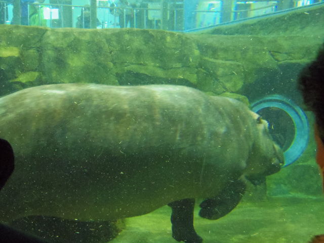 �����̃J�o��������B_���R������