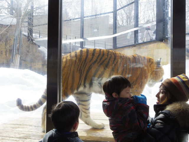 �g�����߂��Ĕ��͂�����܂����B_���R������