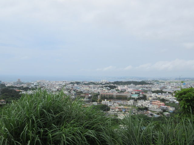 �Y�Y��Ղ���̒���_�Y�Y���