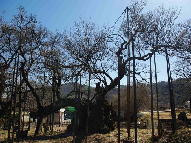 実相寺