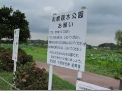 cJ擙X͂̏Zl̗eւ̓eʐ^1