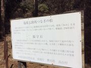 tam-tam̃^v^v̉nȂ̏̓eʐ^1