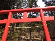 tam-tam̃^v^v̉nȂ̏̓eʐ^2