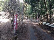 tam-tam̃^v^v̉nȂ̏̓eʐ^4