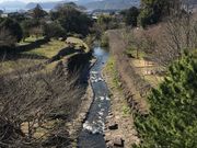 poporon̐XΉ͐̓eʐ^1