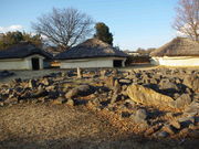 ���^�{�剤����̋�����Ղ̓��e�ʐ^1