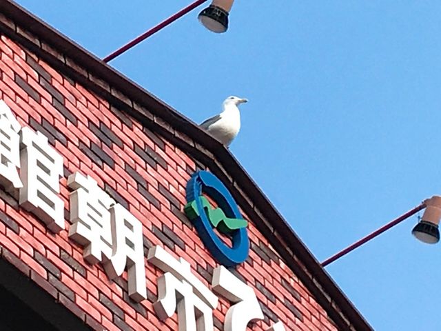 ���s_���ْ��s