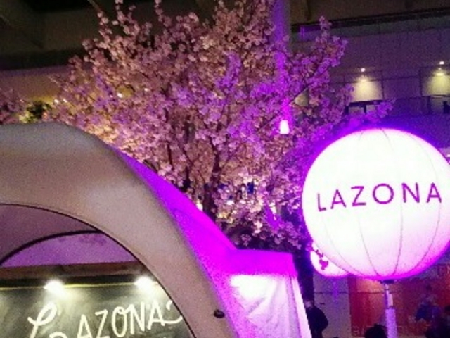 ������Ċ���������_���]�[�i���v���U