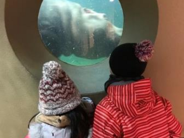 ���R������