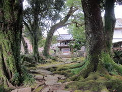 KAZZさんの高源寺（静岡県函南町）の投稿写真1