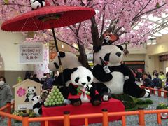 Ё[񂳂̂iqwւ̓eʐ^2