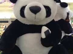 Ё[񂳂̂iqwւ̓eʐ^3