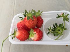 ܂񂳂̂H[@Ђ炩ւ̓eʐ^1