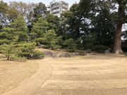 Ђ͂񂳂̋ߏ뉀̓eʐ^1