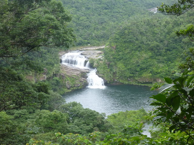 ���\�E�}�����h�D�̑�B����ĂĂ��A���ʂ���܂��B_�}�����h�D�̑�