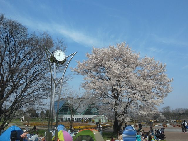 ���̂��Ԍ�_�t�����[�p�[�N�]��