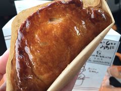 tara����̗m�َq�����ف@�i�J���ւ̓��e�ʐ^1