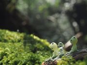 ݂񂳂Yamakarav̓eʐ^1