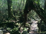 ݂񂳂Yamakarav̓eʐ^4