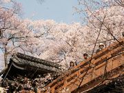 񂳂̍隬̃^JgIRqKUN̓eʐ^3