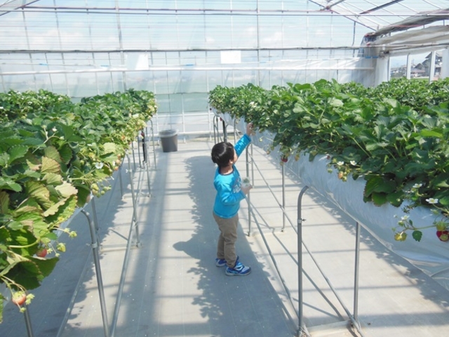 �q�ǂ��ł������Ŏ��鍂���̒I_�e���������@�a��������