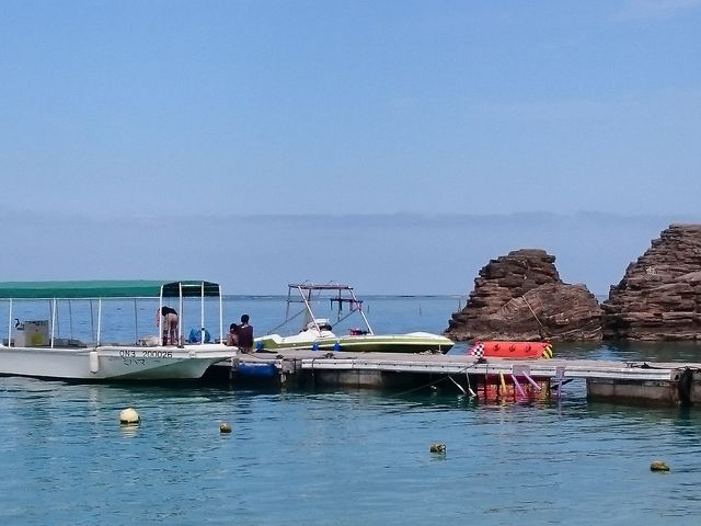 {[gŏoł(Anr[`)_(L)kJCl̉