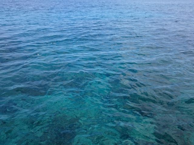 10F30oq VɌb܂A̓x({[gBe)_(L)kJCl̉