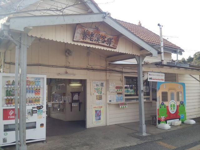 �{�V�k�J�w�ł�_�{�V�k�J