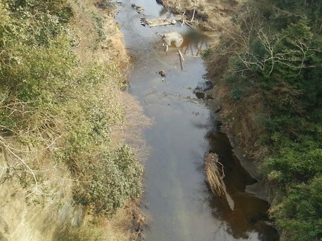 ����������̒���_�{�V�k�J