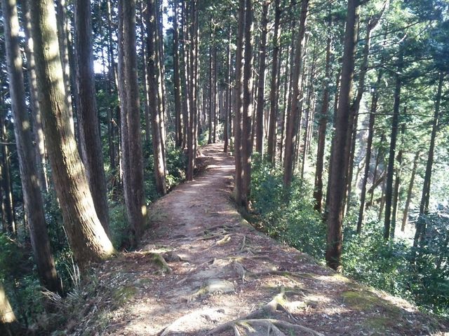 ����������Ƃ����_�{�V�k�J