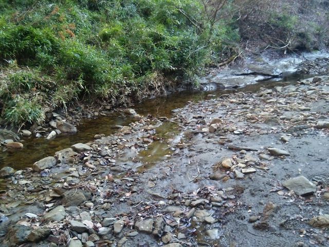 ������x���킽��܂�_�{�V�k�J