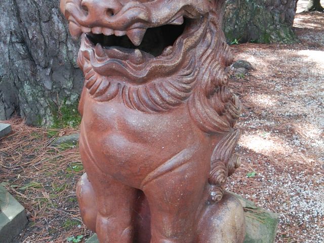 fĂ̍͒X̏ofƎvAǂɔĂCB_̕z_