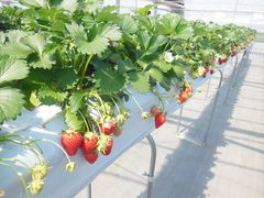 Qñ[}}^iĴe@aւ̓eʐ^1