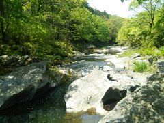青島さんの嵐山渓谷の投稿写真6
