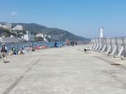 �������Y����̔M�C�`�C�ނ�{�݂̓��e�ʐ^2