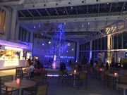 mameB̌ܗŊs^[W]PKJtFX^h̓eʐ^1