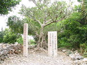 񂳂̃IPAJn`a̒n̓eʐ^2